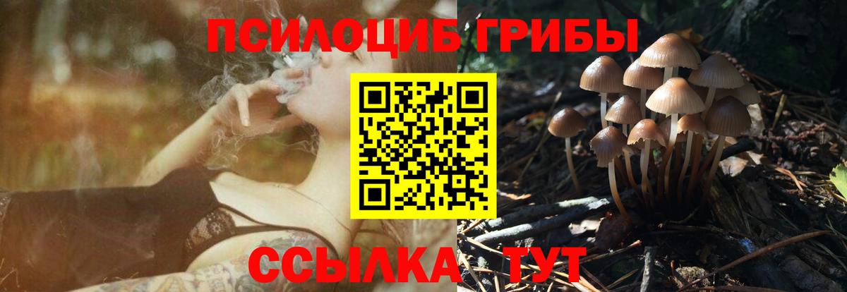 Галлюциногенные грибы прущие грибы Ленинск-Кузнецкий